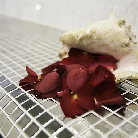 Hotel Sirius - Free Access 4*